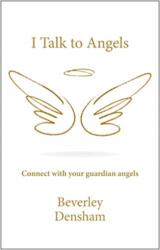 I Talk to Angels (ISBN: 9780857168047)