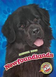 Newfoundlands (ISBN: 9781626176140)