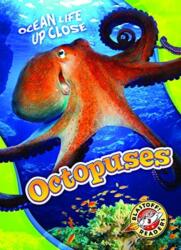Octopuses (ISBN: 9781626174191)