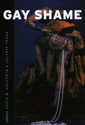 Gay Shame (ISBN: 9780226314389)