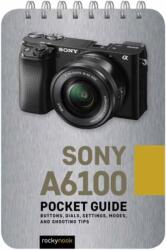 Sony a6100: Pocket Guide (ISBN: 9781681986203)