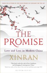 The Promise (ISBN: 9781448217892)