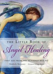 The Little Book of Angel Healing (ISBN: 9781642970029)