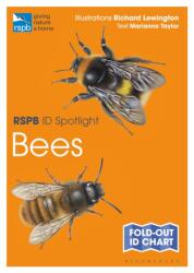 RSPB ID Spotlight - Bees (ISBN: 9781472974273)