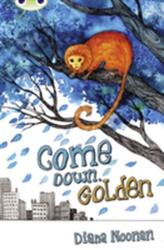 Bug Club Independent Fiction Year 3 Brown A Come Down, Golden (ISBN: 9780435075804)