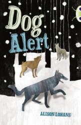 Bug Club Independent Fiction Year 4 Grey A Dinkin Dings and the Frightening Things (ISBN: 9780435075910)