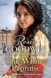 The Winter Promise (ISBN: 9781838772215)