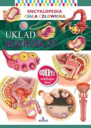 SISTEMUL REPRODUCTIV. ENCICLOPEDIA CORPULUI UMAN (ISBN: 9788380382589)
