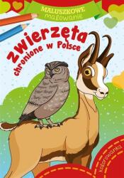 Pictură pentru cei mici. Animale protejate în Polonia (ISBN: 9788379159857)