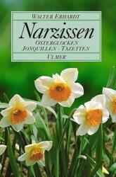 Narcise (ISBN: 9783800164899)