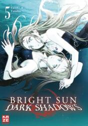 Bright Sun - Dark Shadows - Band 5 (ISBN: 9782889212835)