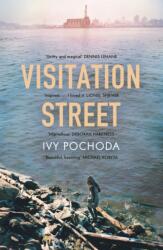 Visitation Street (ISBN: 9781444778274)