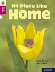 Oxford Reading Tree Word Sparks: Level 10: No Place Like Home (ISBN: 9780198496908)