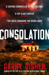 Consolation (ISBN: 9781788168175)