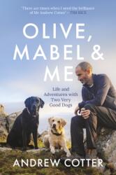 Olive, Mabel & Me (ISBN: 9781785303364)