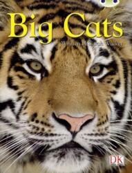 BC NF Brown B/3B Big Cats (ISBN: 9780435075835)