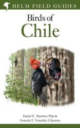 Field Guide to the Birds of Chile (ISBN: 9781472987426)