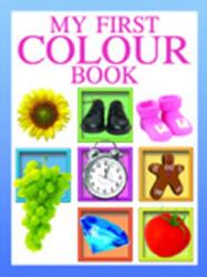 My First Colour Book (ISBN: 9788120782488)