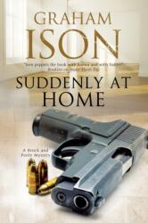 Suddenly at Home (ISBN: 9781847517425)