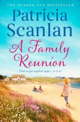 A Family Reunion (ISBN: 9781398501065)