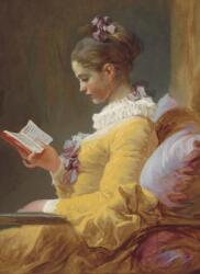 A Young Girl Reading Notebook (ISBN: 9780486842707)