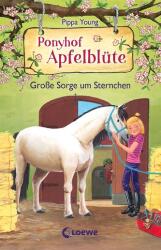 Ponyhof Apfelblüte (ISBN: 9783743211179)