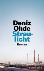 Streulicht (ISBN: 9783518471746)