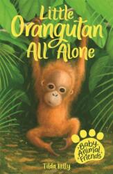 Baby Animal Friends: Little Orangutan All Alone (ISBN: 9781408363379)