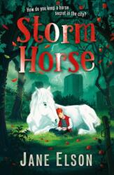 Storm Horse (ISBN: 9781444955699)