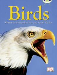 BC NF Grey B/4C Birds (ISBN: 9780435075941)
