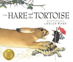 The Hare and the Tortoise (ISBN: 9781787419414)