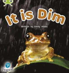 Bug Club Phonics Non-Fiction Early Years and Reception Phase 2 Unit 2 It is Dim (ISBN: 9781292407852)