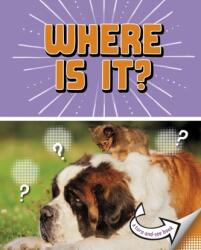 Where Is It? (ISBN: 9781398215528)