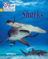 Sharks (ISBN: 9780008504625)