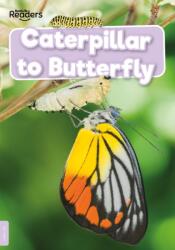 Caterpillar to Butterfly (ISBN: 9781839278938)