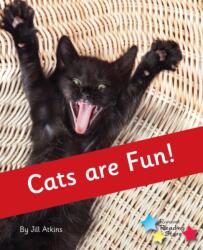 Cats are Fun! (ISBN: 9781785919992)