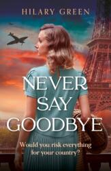 Never Say Goodbye (ISBN: 9780340839027)