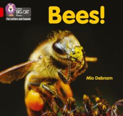Bees! (ISBN: 9780008442217)