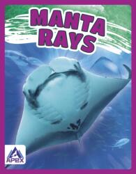 Manta Rays (ISBN: 9781637380420)
