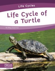 Life Cycle of a Turtle (ISBN: 9781644938799)