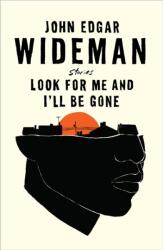 Look For Me and I'll Be Gone (ISBN: 9781838855161)