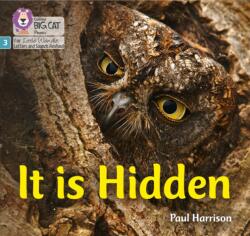 It is Hidden (ISBN: 9780008502409)