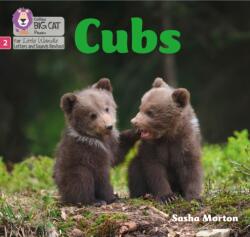 Cubs (ISBN: 9780008502676)