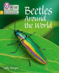 Beetles Around the World (ISBN: 9780008504755)