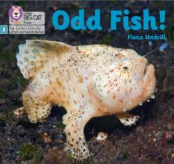 Odd Fish! (ISBN: 9780008504496)