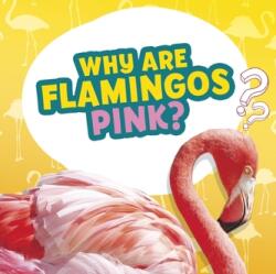 Why Are Flamingos Pink? (ISBN: 9781398215610)