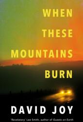 When These Mountains Burn (ISBN: 9780233006505)