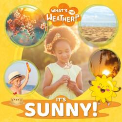 It's Sunny! (ISBN: 9781839271946)