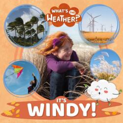 It's Windy! (ISBN: 9781839271953)