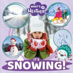 It's Snowing! (ISBN: 9781839271939)